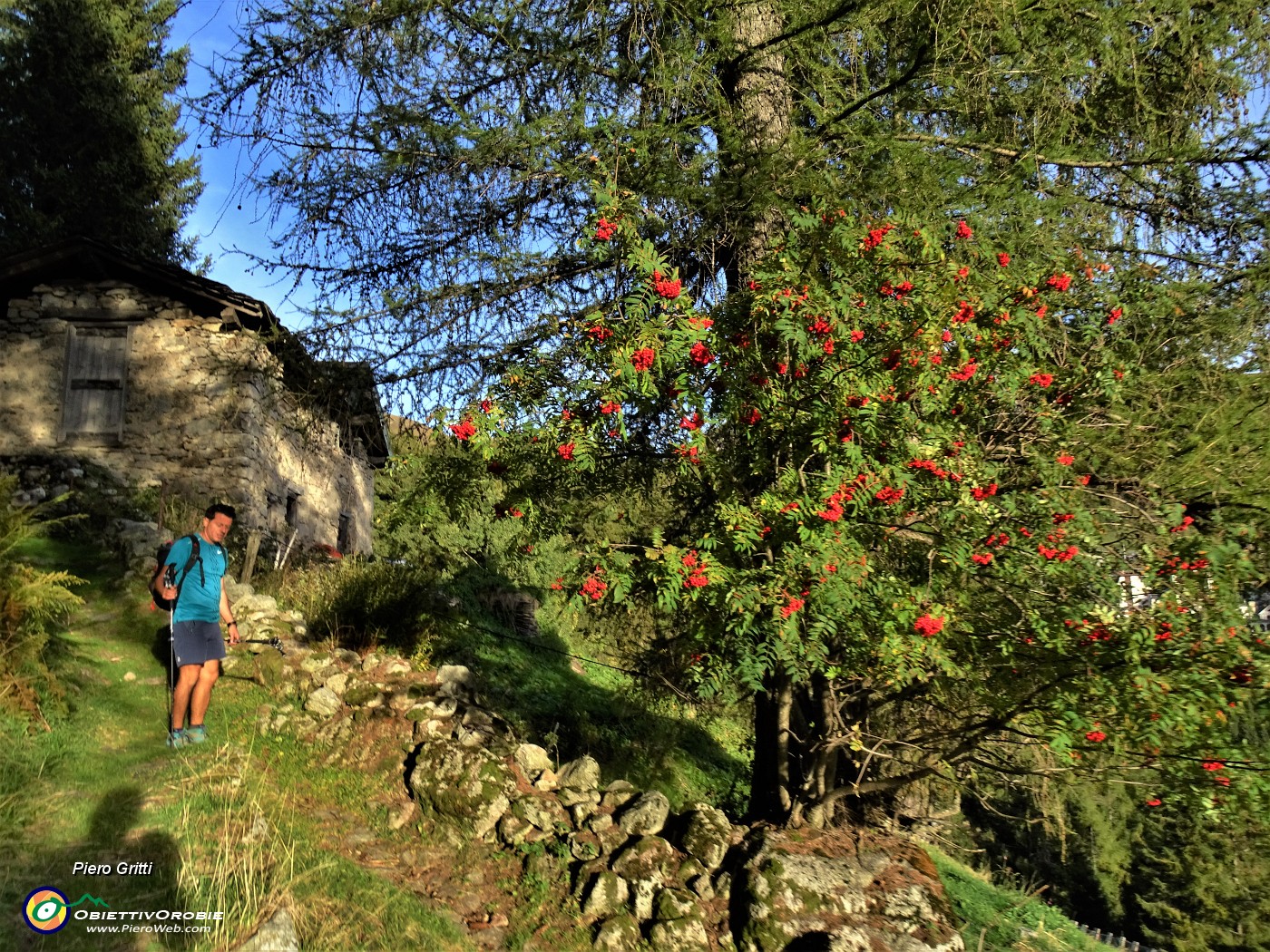 78 Saliti dal sent. 202 (Passo Dordona...), chiudiamo l'anello in Cima Cadelle  rientrando dal sent. 201.JPG